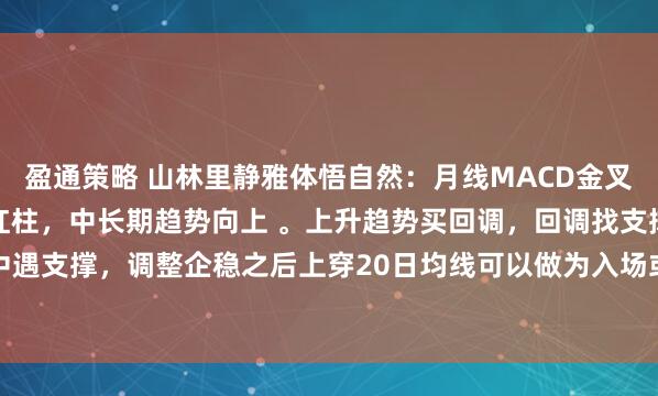 盈通策略 山林里静雅体悟自然：月线MACD金叉红柱，周线MACD金叉红柱，中长期趋势向上 。上升趋势买回调，回调找支撑。日线中遇支撑，调整企稳之后上穿20日均线可以做为入场或加仓的时机。入场，离场，止损止...