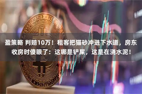 盈策略 判赔10万！租客把猫砂冲进下水道，房东收房时傻眼了：这哪是铲屎，这是在浇水泥！