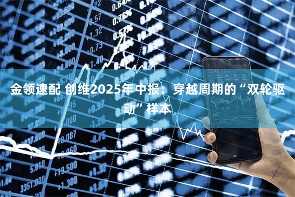 金领速配 创维2025年中报：穿越周期的“双轮驱动”样本