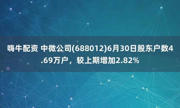 嗨牛配资 中微公司(688012)6月30日股东户数4.69万户，较上期增加2.82%